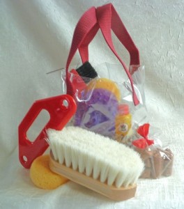 Great Beginnings Tool Kit