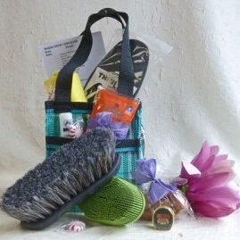 mini-mom-teal.jpg-good-300x269 (1) Mini Mom (teal)